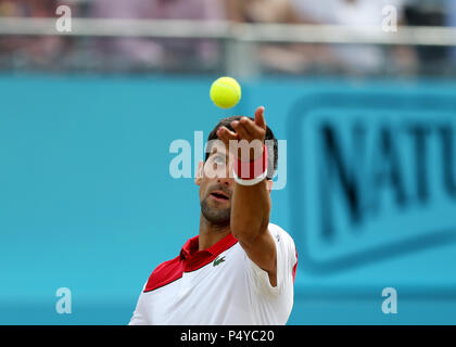 Queens Club, London, Großbritannien. 23. Juni 2018. Das Fieber Baum Tennis Meisterschaften; Novak Djokovic (SRB) dient der Credit: Aktion plus Sport/Alamy leben Nachrichten Stockfoto