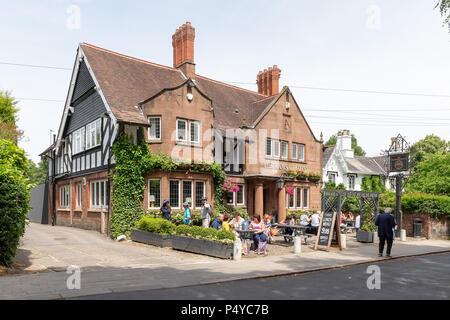 Cheshire, Großbritannien. 23. Juni 2018. 23. Juni 2018 - Das Wetter war heiß und sonnig für grappenhall Walking Tag, Cheshire, England, UK Credit: John Hopkins/Alamy leben Nachrichten Stockfoto