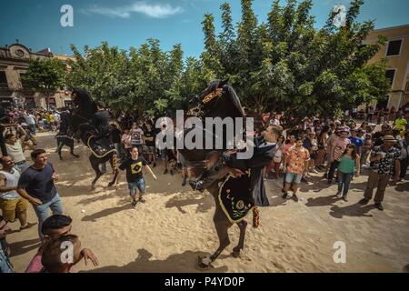 Ein "caixer' (Reiterin) bäumt sich auf seinem Pferd von einer jubelnden Menge vor der 'Caragol des Geboren" Parade am Vorabend des traditionellen ant Joan" (Saint John) Festival in Ciutadella de Menorca Credit: Matthias Oesterle/Alamy Leben Nachrichten umgeben Stockfoto