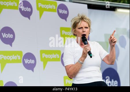 London, Großbritannien. 23. Juni 2018. Konservative Partei MP Anna Soubry spricht auf Abstimmung der Rallye in Parliament Square in London auf einer zweiten Jahrestag des Brexit Referendums durch hundert Tausend Menschen besucht. Die Demonstranten verlangen, dass die endgültigen Bedingungen des Brexit beschäftigen, die von der Regierung ausgehandelt, bevor die britischen Bürger in einer öffentlichen Abstimmung gestellt werden. Credit: Wiktor Szymanowicz/Alamy leben Nachrichten Stockfoto