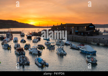 Lyme Regis, Dorset, Großbritannien. 24. Juni 2017. UK Wetter. Ein goldener Sonnenaufgang im Cobb Hafen an der Küste von Lyme Regis in Dorset. Foto: Graham Jagd-/Alamy leben Nachrichten Stockfoto