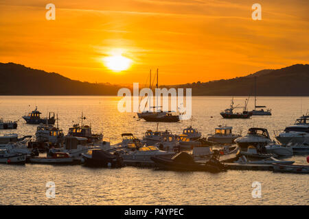 Lyme Regis, Dorset, Großbritannien. 24. Juni 2017. UK Wetter. Ein goldener Sonnenaufgang im Cobb Hafen an der Küste von Lyme Regis in Dorset. Foto: Graham Jagd-/Alamy leben Nachrichten Stockfoto