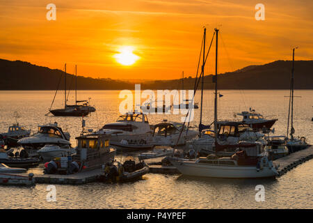 Lyme Regis, Dorset, Großbritannien. 24. Juni 2017. UK Wetter. Ein goldener Sonnenaufgang im Cobb Hafen an der Küste von Lyme Regis in Dorset. Foto: Graham Jagd-/Alamy leben Nachrichten Stockfoto