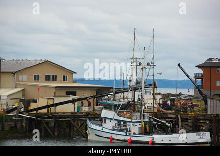 WESTPORT, WASHINGTON - 21. JUNI 2018: Eine kommerzielle Fischerboot lädt Sie zu einem Westport cannery fangen. Stockfoto