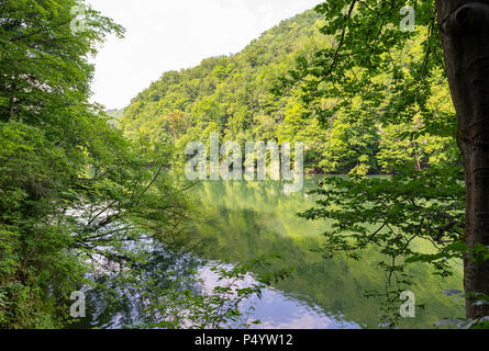 Grüne Lillafured Hamori See in der Nähe von Miskolc, Ungarn. Frühling Landschaft in Buche Berge Stockfoto