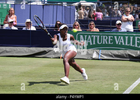 Sachia Vickery bei den Frauen Tennis Association WTA International Tennis in Eastbourne, Devonshire Park, East Sussex. Natur Tal Internationalen Stockfoto