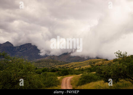 Nebel Rollen in über die Santa Rita Mountains, wie von Forest Service Straße 92 in der Nähe des Apache Springs Ranch, Sonoita, Arizona, USA gesehen. Stockfoto