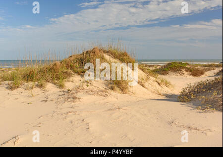 Sanddünen an der Golfküste von Texas in Boca Chica State Park Stockfoto