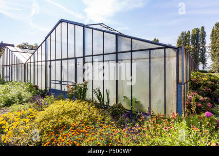 Deutschland, Kreis Konstanz, Insel Reichenau, Niederzell, Gewächshaus Stockfoto