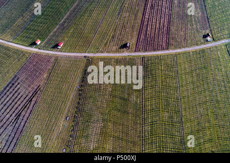 Deutschland, Baden-Württemberg, Remstal, Weinberge bei Gundelsbach Tal Stockfoto