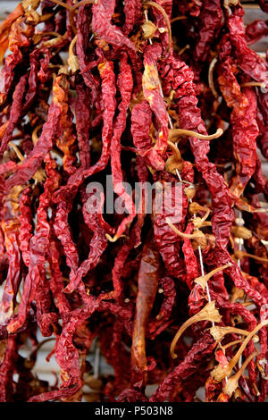 Schuss von getrockneten Paprika hautnah Stockfoto