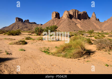 Algerien, Tassili N'Ajjer Nationalpark Oued, Wadi Essendilene Stockfoto