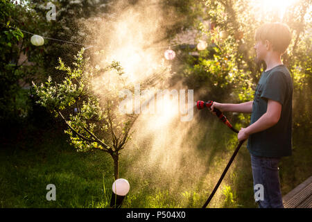 Junge mit Gartenschlauch für die Bewässerung der Baum im Garten Stockfoto