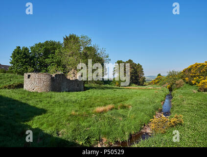 Einen verlassenen Stein mit einer ungewöhnlichen gebogene Ende wand Ruine liegt in einem kleinen Feld in ein Tal mit einem kleinen Bach und Blick auf die Angus Glens. Guthri Stockfoto