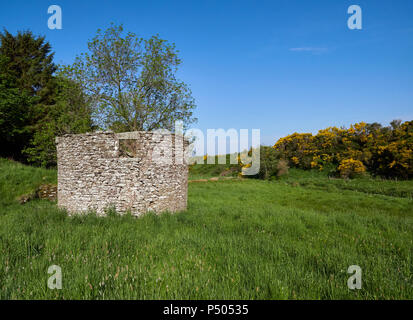 Suchen Ende auf einen alten Stein Ruine mit einem quadratischen Fenster in eine Rasenfläche in einem kleinen Tal in der Nähe von Guthrie, Forfar, Angus in Schottland. Stockfoto