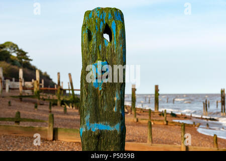 Holz- wellenbrecher oder groyne, bawdsey Fähre, Suffolk, England. Stockfoto