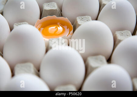 Die Hälfte gebrochen Ei unter anderen Huhn Eier im Karton Ei, Nahaufnahme. Stockfoto