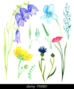 Satz von wilden Blumen: Glockenblumen, Veilchen, Forget-me, kornblume (Wald und Wiese, Blumen), isolierte Handgemalten Aquarell Abbildung Stockfoto