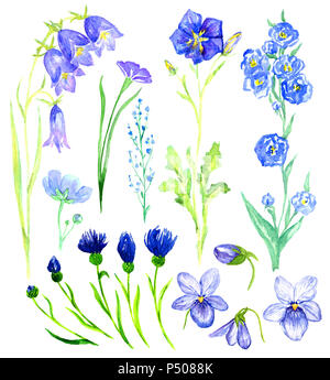 Der blaue Blumen: Glockenblumen, Veilchen, Forget-me, Kornblumen, isolierte Handgemalten Aquarell Abbildung im weichen Stil Stockfoto