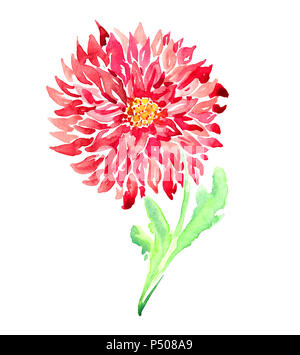 Rote chrysantheme Blumen, naive dekorativen Stil, isolierte Handgemalten Aquarell Abbildung im modernen Stil (weiche Stellen) Stockfoto