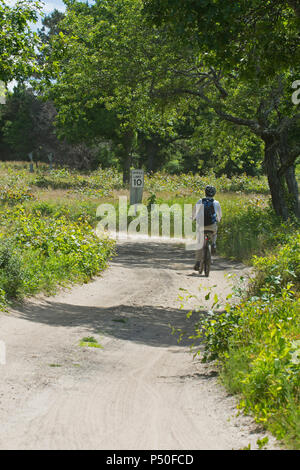 Radfahren entlang der Hauptstraße an Crowes Weide in Ost Dennis, Massachusetts Auf Cape Cod, USA Stockfoto