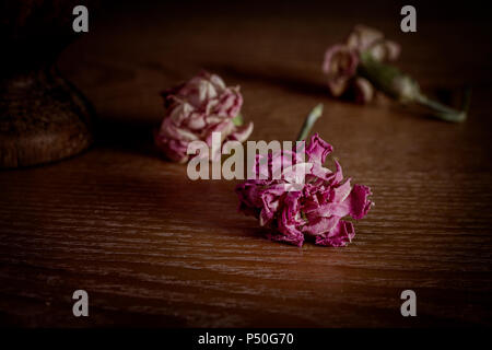 Abstrakt Stillleben angezeigte tot, getrocknet, trocken Pink carnation Blüten auf hölzernen Tisch gegen - Lauf der Zeit, Verlust und Tod Konzepte Stockfoto