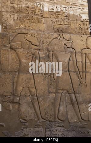 Relief mit der Darstellung der Gott der Weisheit, Toth (Ibis - Mann) und der Gott der Toten, Anubis (schakal Mann). Luxor Tempel. Ägypten. Stockfoto