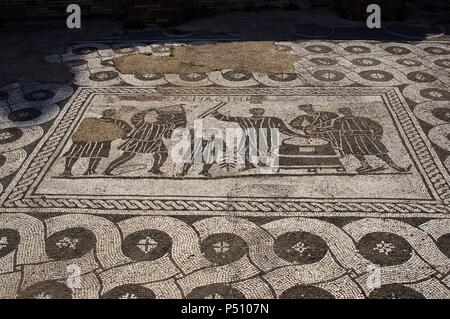 Ostia Antica. Die Halle der Korn Unterstützungsmaßnahmen. 3. Jahrhundert. Mosaik, Korn Messer (mensores frumentariiI) bei der Arbeit. Italien. Stockfoto