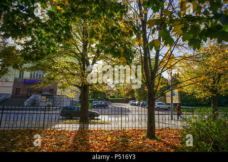 Wyborg, Russland - Nov 6, 2016. Herbst Park in Wyborg, Russland. Vyborg ist 174 km nordwestlich von St. Petersburg und nur 30 km von der finnischen Grenze. Stockfoto