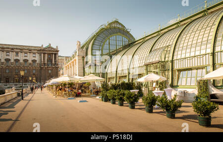 Wien, Österreich - 02 August, 2014: Palm House genannt Schmetterlingshaus im Zentrum von Wien, Österreich Stockfoto