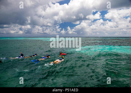 Taucher schwimmen zu einem Korallenriff in der Karibik Stockfoto