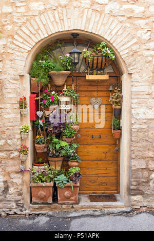 Alte Holztüren mit einer Menge Töpfe von Blumen und Pflanzen. Stockfoto