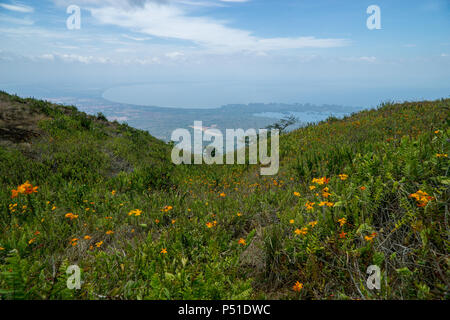 Hang mit Blumen, die zum Blick auf den Nicaragua See und den Granada Inseln im Regenwald des Mombacho Vulkan in Nicaragua. Stockfoto