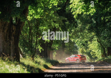 Kosava, Belarus - Juni 7, 2017: Neue 2018 Mitsubishi Eclipse Kreuz im grünen Wald Stockfoto