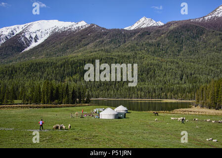 Haus auf der Strecke; Jurten in Kanas See National Park, Xinjiang, China Stockfoto