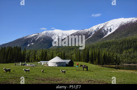 Haus auf der Strecke; Jurten in Kanas See National Park, Xinjiang, China Stockfoto