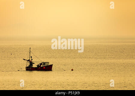Ein looe Fischerboot und Fisherman Vorbereitung der Tage fangen, wie die Flut kommt wieder bei Sonnenaufgang am Looe, Cornwall, Großbritannien Stockfoto