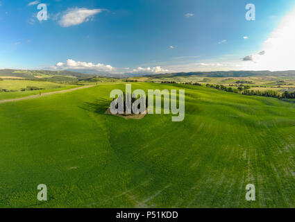 Die schöne Landschaft der Toskana in Italien - Gruppe der italienischen Zypressen in der Nähe von San Quirico d'Orcia - Luftbild - Val d'Orcia, Toskana, Italien Stockfoto