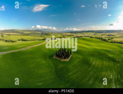 Die schöne Landschaft der Toskana in Italien - Gruppe der italienischen Zypressen in der Nähe von San Quirico d'Orcia - Luftbild - Val d'Orcia, Toskana, Italien Stockfoto