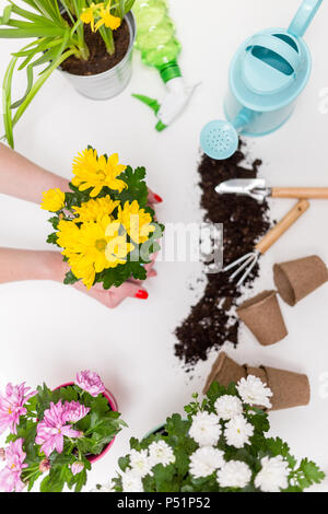 Bild von Blumen in Töpfen, Gießkannen, Schaufel, Rechen auf leeren weißen Hintergrund. Stockfoto