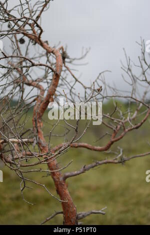 Saint Anne See Stockfoto