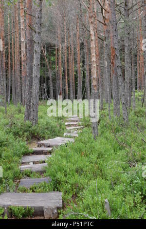 Saint Anne See Stockfoto