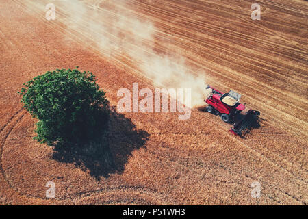 Luftaufnahme auf die Arbeit an dem grossen Weizenfeld kombinieren. Stockfoto