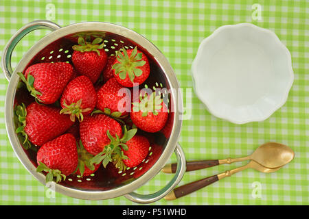 Frische, saisonale Erdbeeren im Sieb mit Schüsseln und Löffel von Overhead. Horizontale und in natürlichem Licht gedreht. Stockfoto