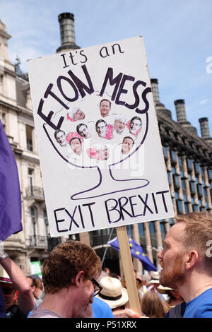 People's Stimme London UK - 23. Juni 2018 - die Demonstranten fordern eine zweite Abstimmung über die endgültige Brexit befassen sich mit Plakette Es ist eine Eton Mess Ausfahrt Brexit Stockfoto