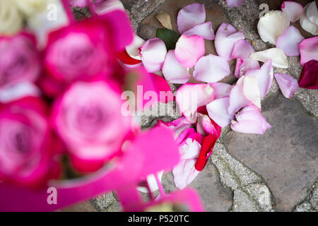 Rosa Blüten und Blütenblättern Stockfoto