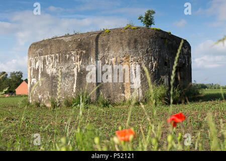 Französische Maginot-linie Bunker, Warneton, Comines-Warneton, Belgien Stockfoto