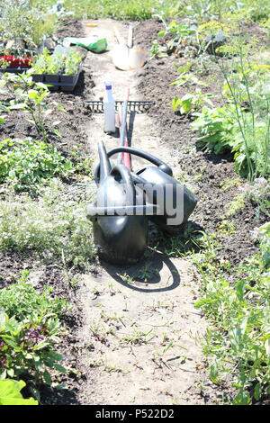 Gemeinschaftsgarten voller Gartenmöglichkeiten und selbst gezüchteten Pflanzen. Stockfoto