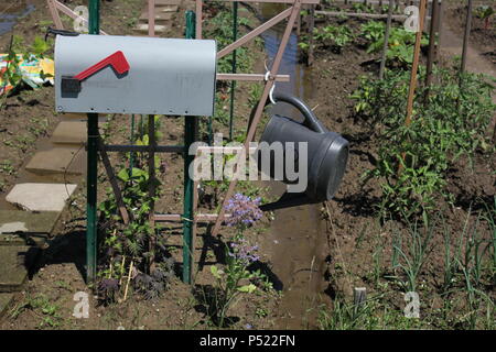 Gemeinschaftsgarten voller Gartenmöglichkeiten und selbst gezüchteten Pflanzen. Stockfoto