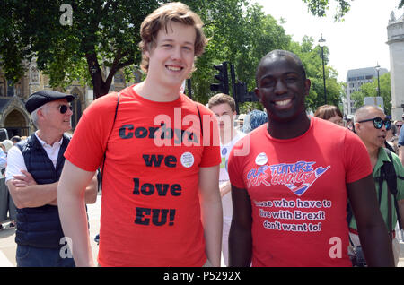 London, Großbritannien. 23. Juni 2018. Femi Oluwole (rechts) bei der Abstimmung im Parlament März Square London Credit: Nadia Awad/Alamy leben Nachrichten Stockfoto